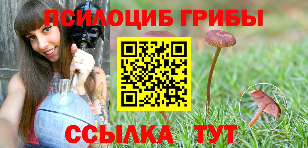 Ессентуки  Галлюциногенные грибы MAGIC MUSHROOMS  Вход с VPN 