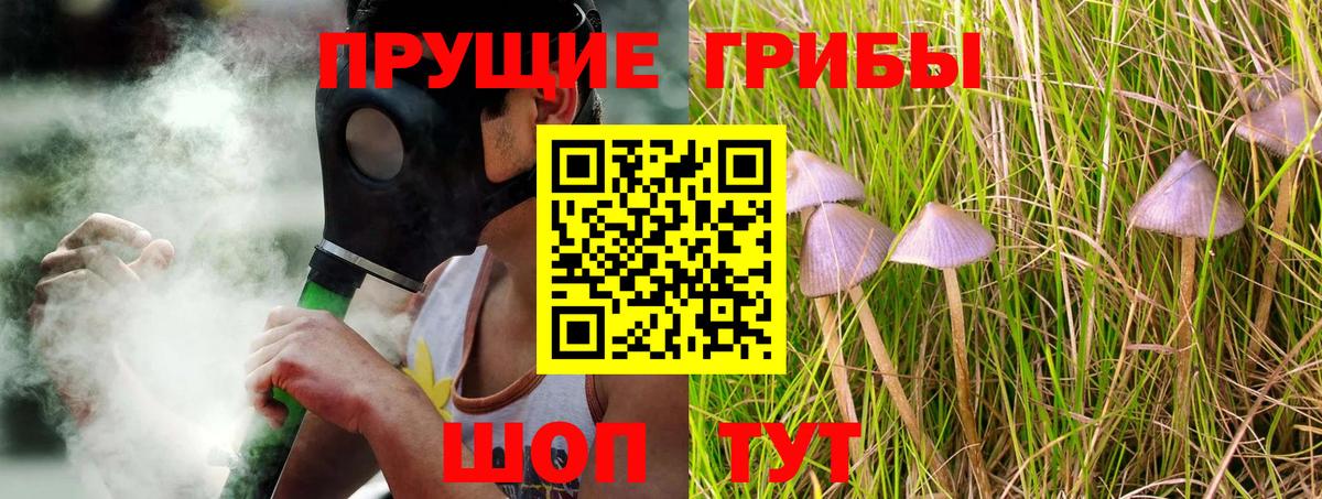 Псилоцибиновые грибы мухоморы Ессентуки