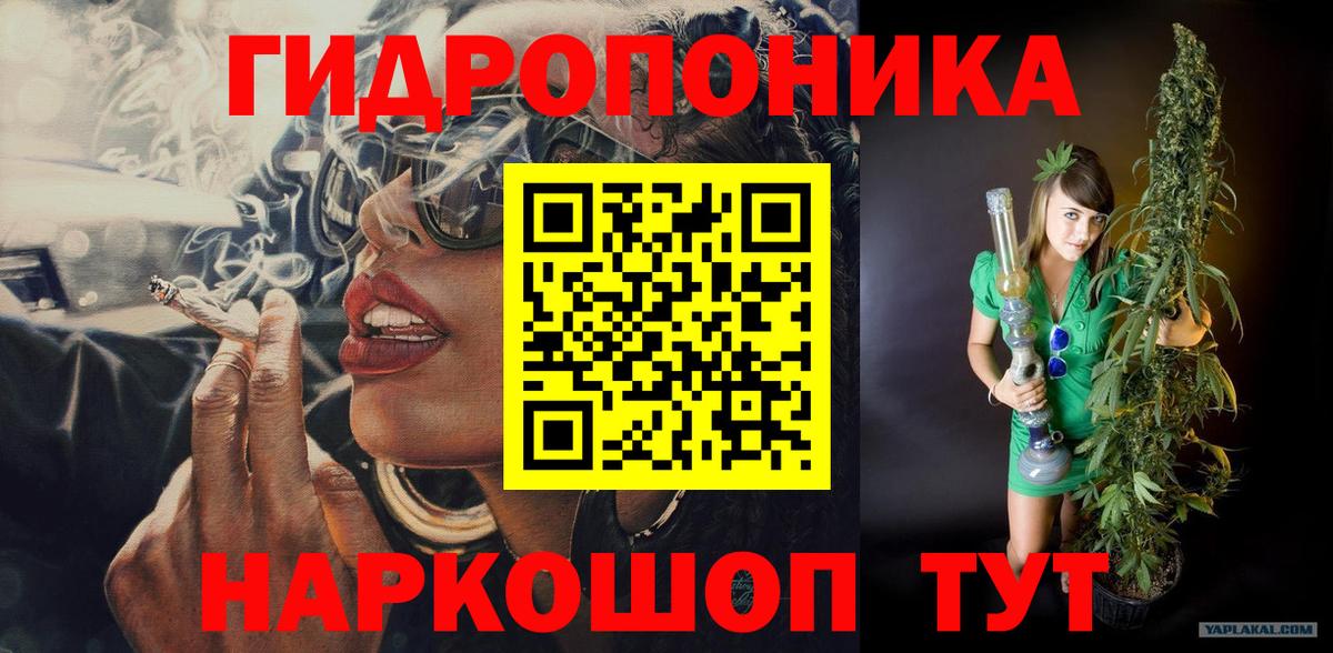 Каннабис сатива  Каннабис White Widow  Ессентуки  Вход с VPN  МАРИХУАНА ГИДРОПОН  Канабис AK-47 